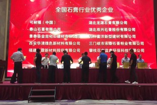 甘肅景泰金龍化工建材有限公司榮獲2016-2017年度全國(guó)石膏行業(yè)優(yōu)秀企業(yè)
