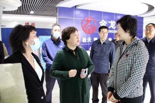 甘肅省委組織部副部長(zhǎng)、人力資源和社會(huì)保障廳黨組書(shū)記、廳長(zhǎng)周麗寧、白銀市副市長(zhǎng)賈汝昌、景泰縣縣長(zhǎng)張文玲等一行領(lǐng)導(dǎo)對(duì)金龍公司、諾克公司 視察指導(dǎo)工作